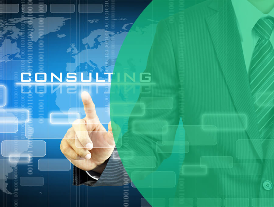 IT Consulting